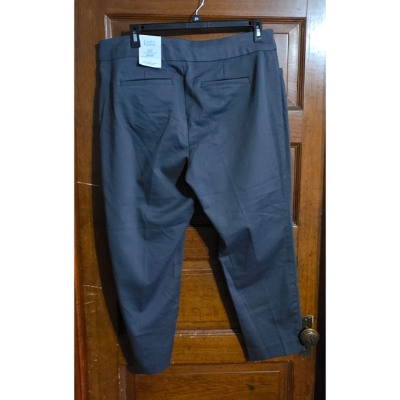 Croft & Barrow The Effortless Stretch Pant Forged Iron Size 16W Short - Picture 3 of 14